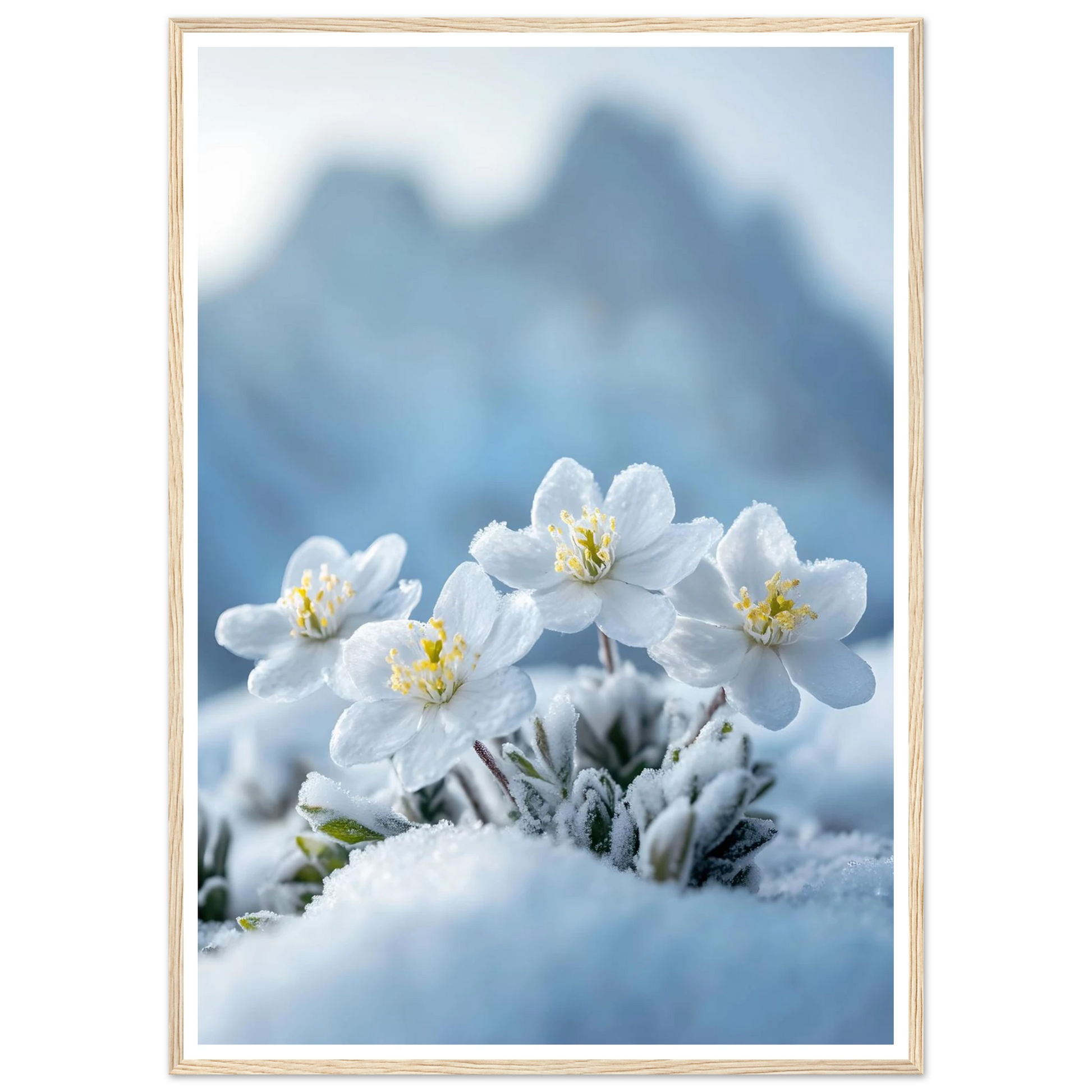 7504fa11-f7e1-4f4b-af27-8c1970dcd397