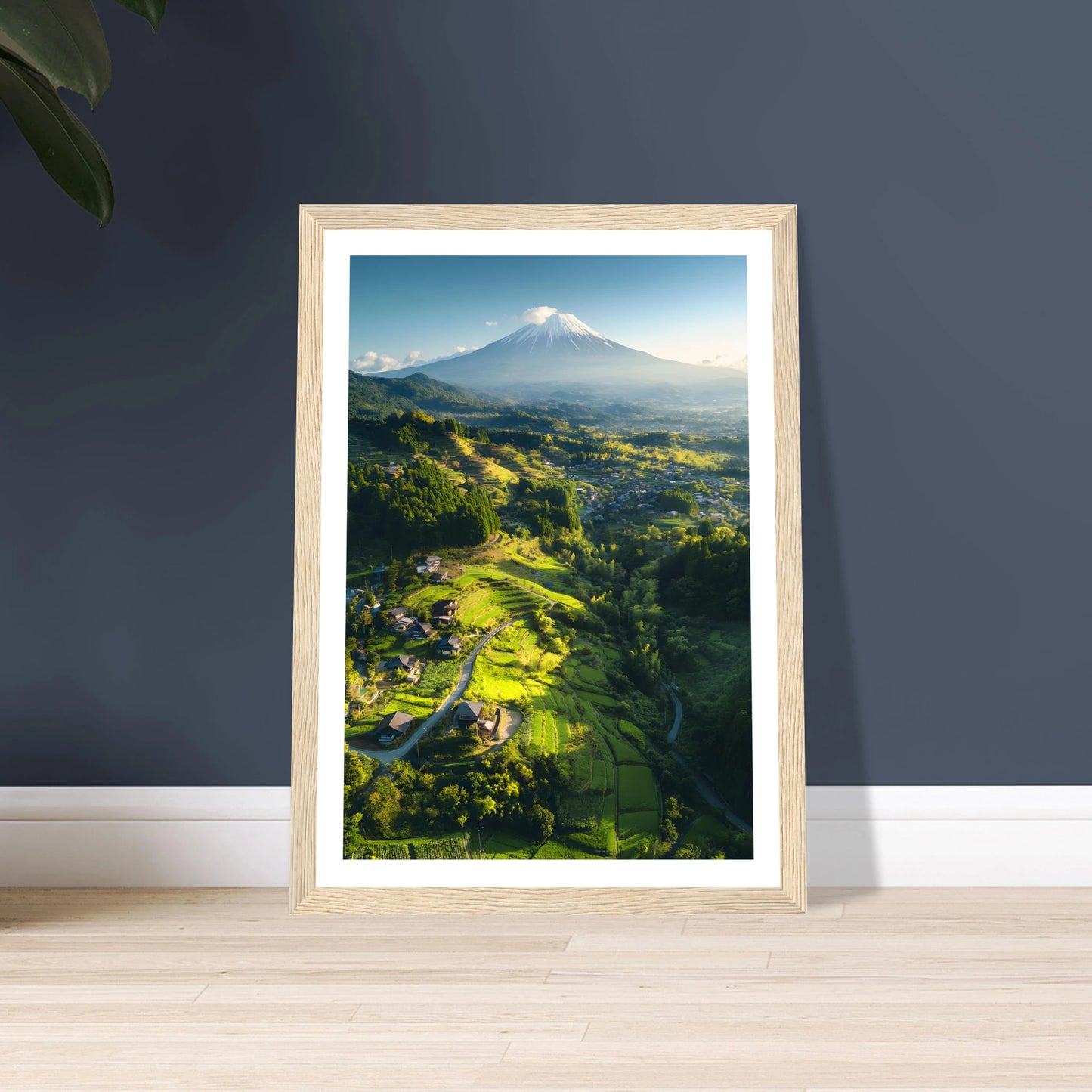 786f2a3a-5ace-4a69-a2cb-9b83f2e1179d