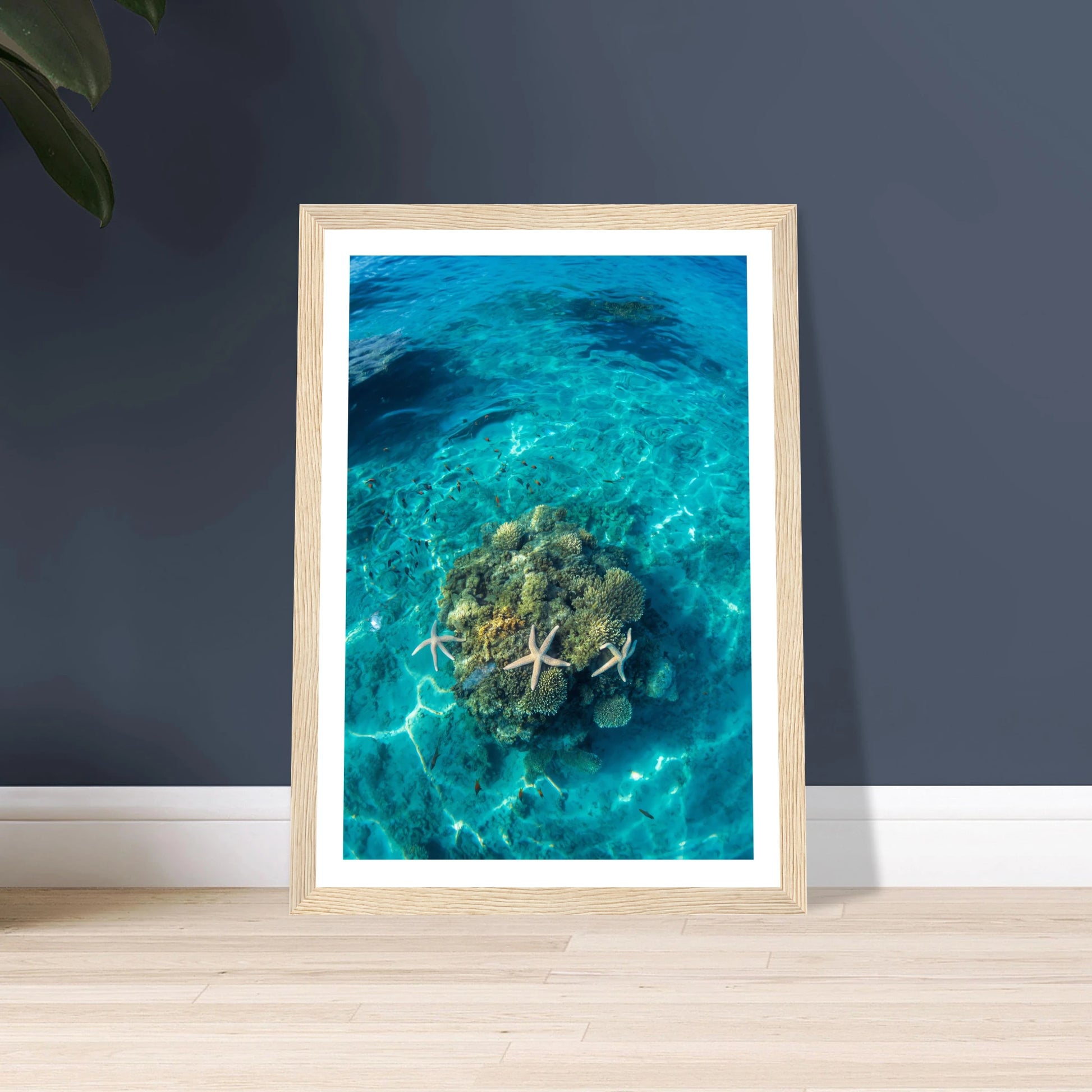 7c1f53e7-ca53-4b4c-8ee9-a78b8f613525