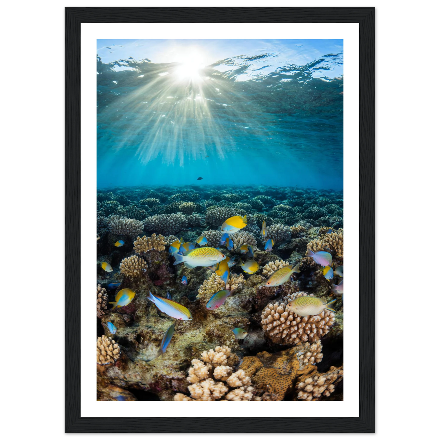 7cfc230e-1f29-414c-86a7-10f687886642