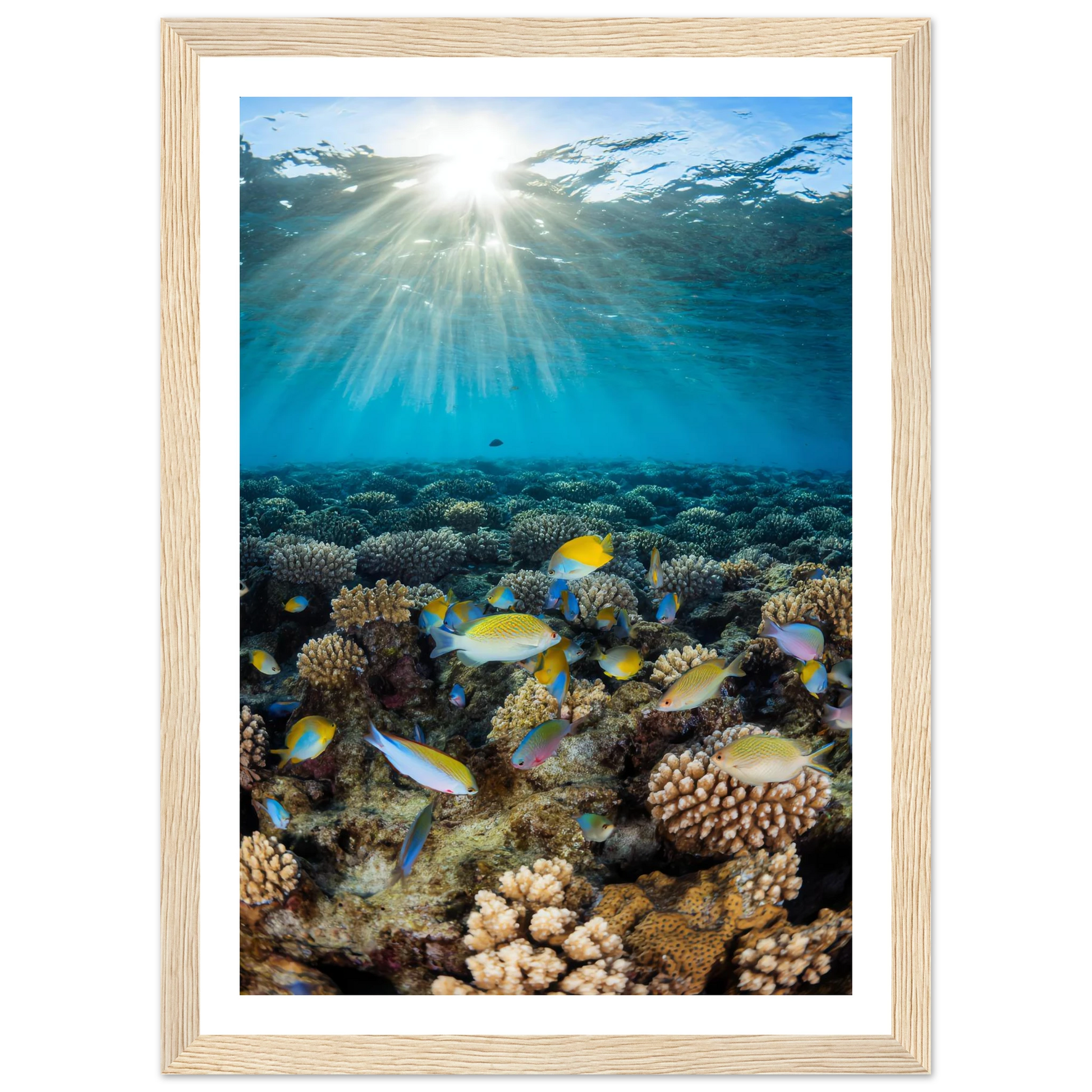 829ff0c4-c27e-4c0d-b6fb-d32465d287bd