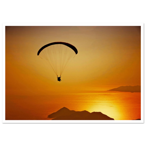 Sunset Flight #