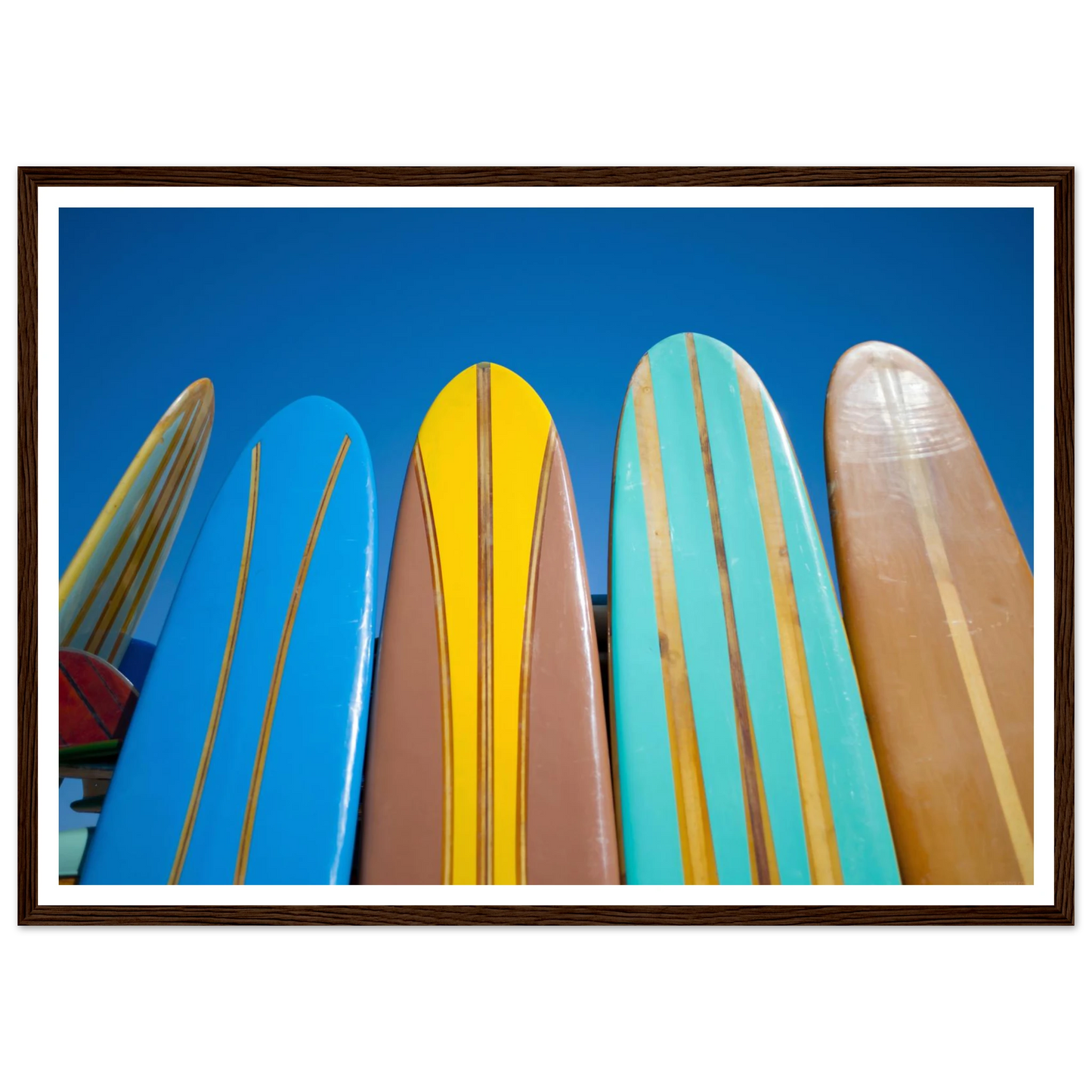 86f5cbe5-0471-4728-a7fb-49f9530049fc