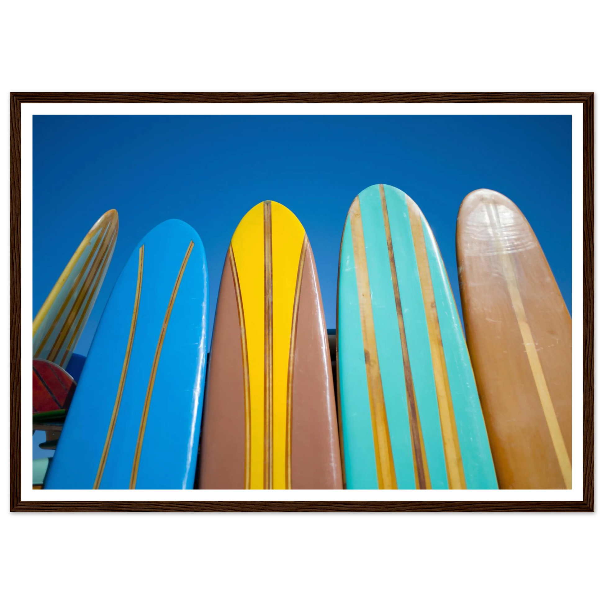 86f5cbe5-0471-4728-a7fb-49f9530049fc