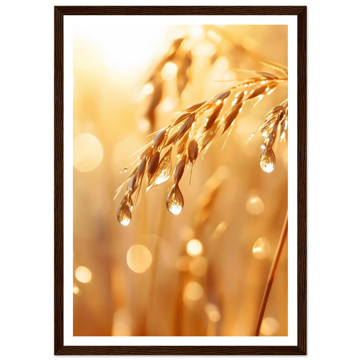 8ab4c258-dcfa-4cb0-be25-dad7306992ce