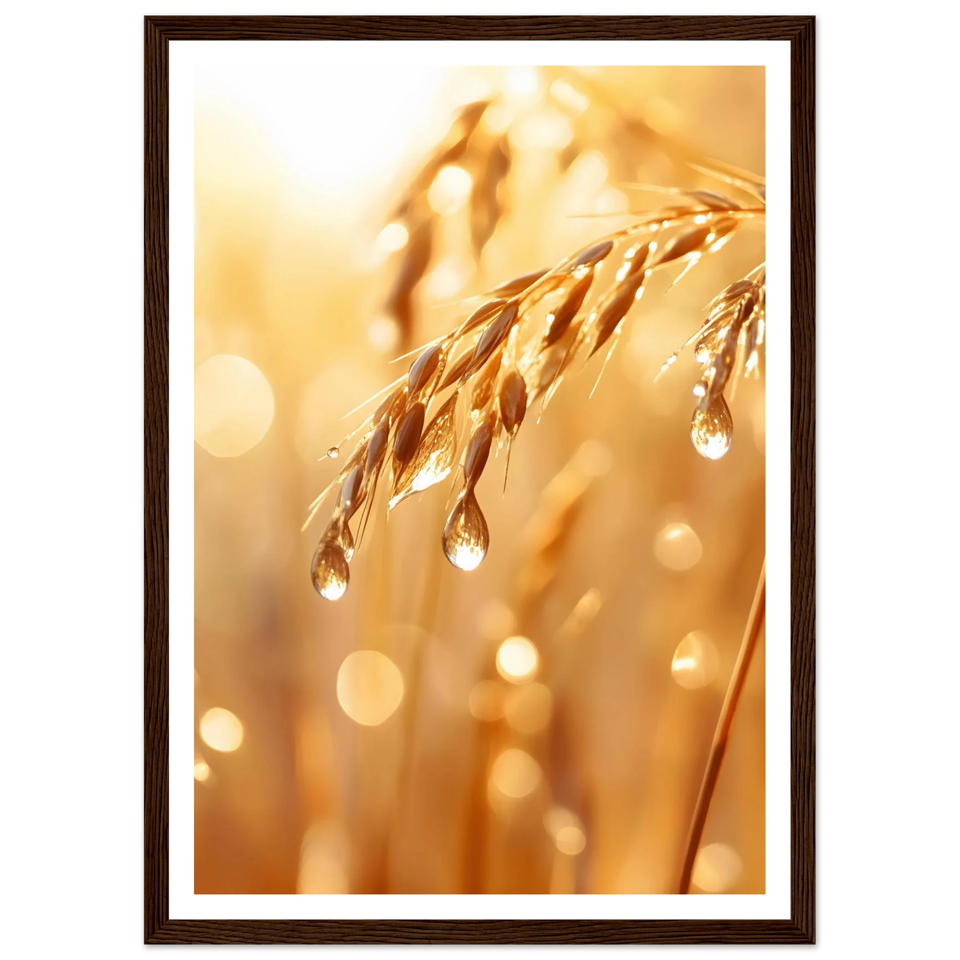 8ab4c258-dcfa-4cb0-be25-dad7306992ce