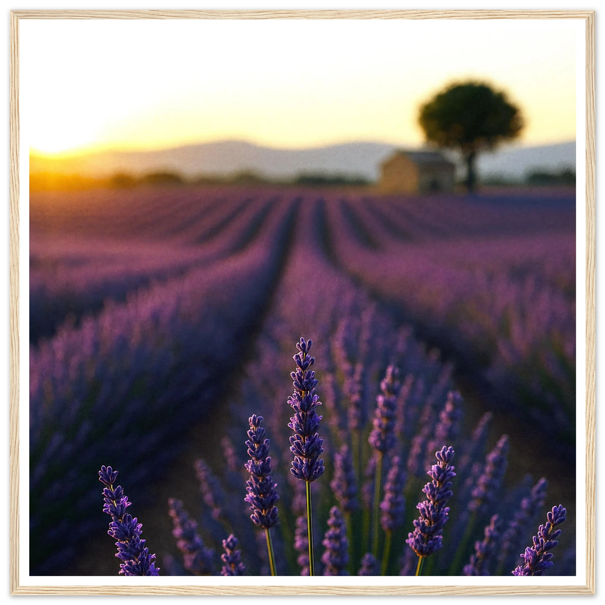 8cb6d6b2-67b7-422a-9962-84d4c458e588