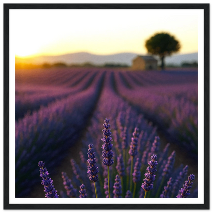 8d62c313-2831-41f8-94e6-9cc737f7cb75