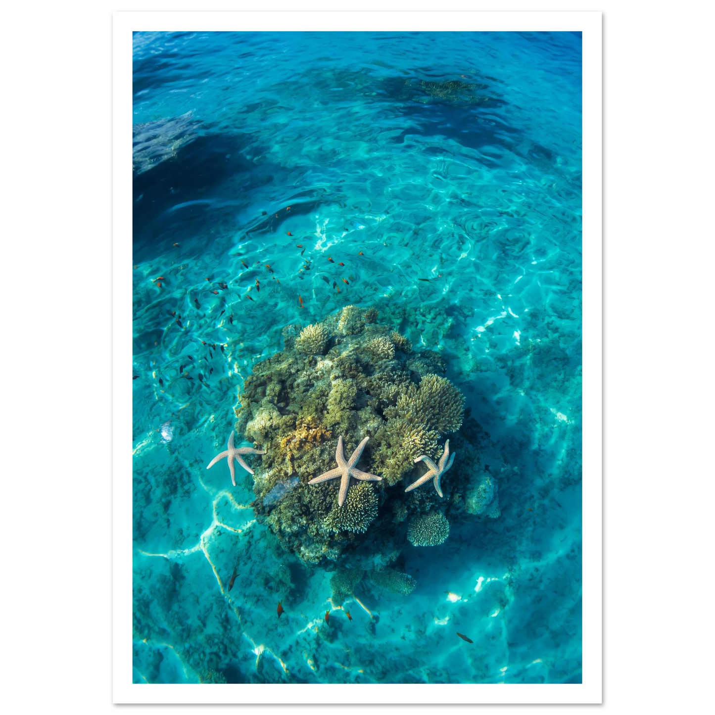 97b04391-e8bc-449f-8b3a-ab3cff2b1791