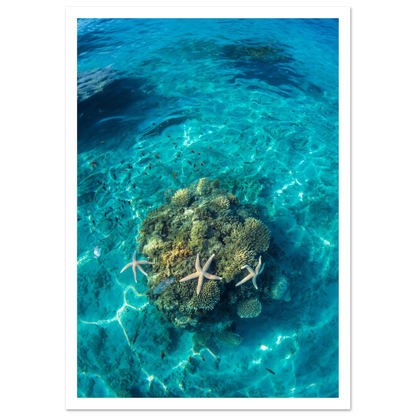 97b04391-e8bc-449f-8b3a-ab3cff2b1791