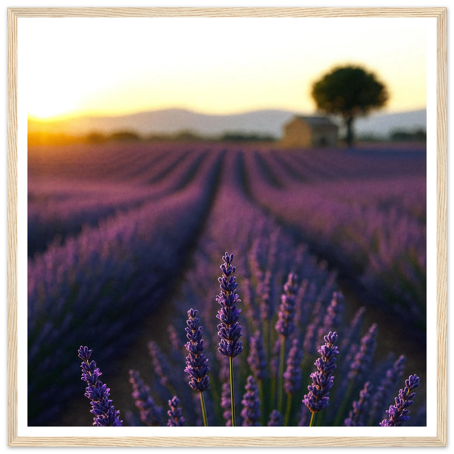 9ae854ae-234d-4454-a3d5-3b516070af10