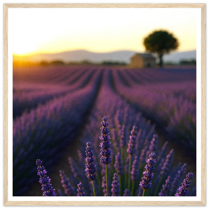 9ae854ae-234d-4454-a3d5-3b516070af10