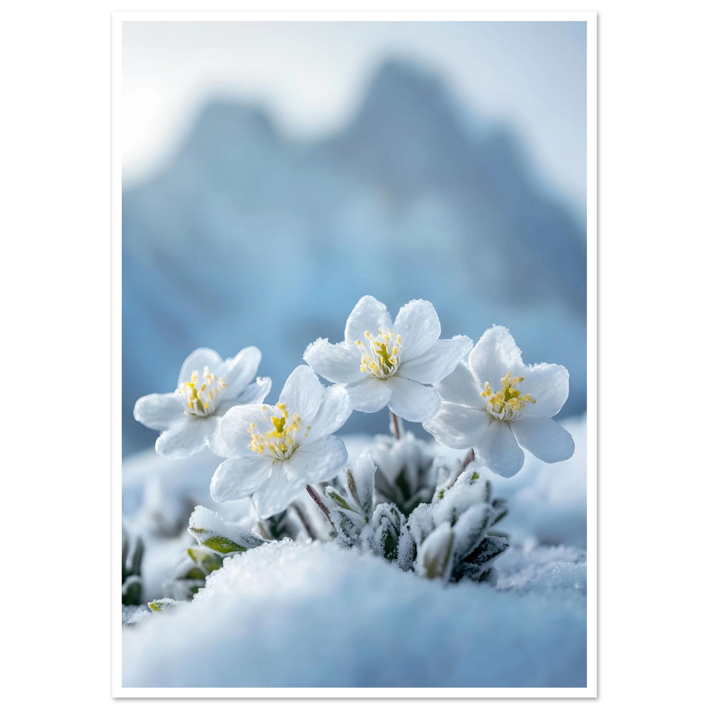 9b2e4f98-cca2-4d97-96a7-12426c94921b