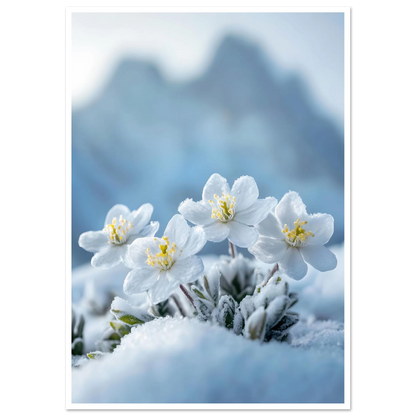 9b2e4f98-cca2-4d97-96a7-12426c94921b