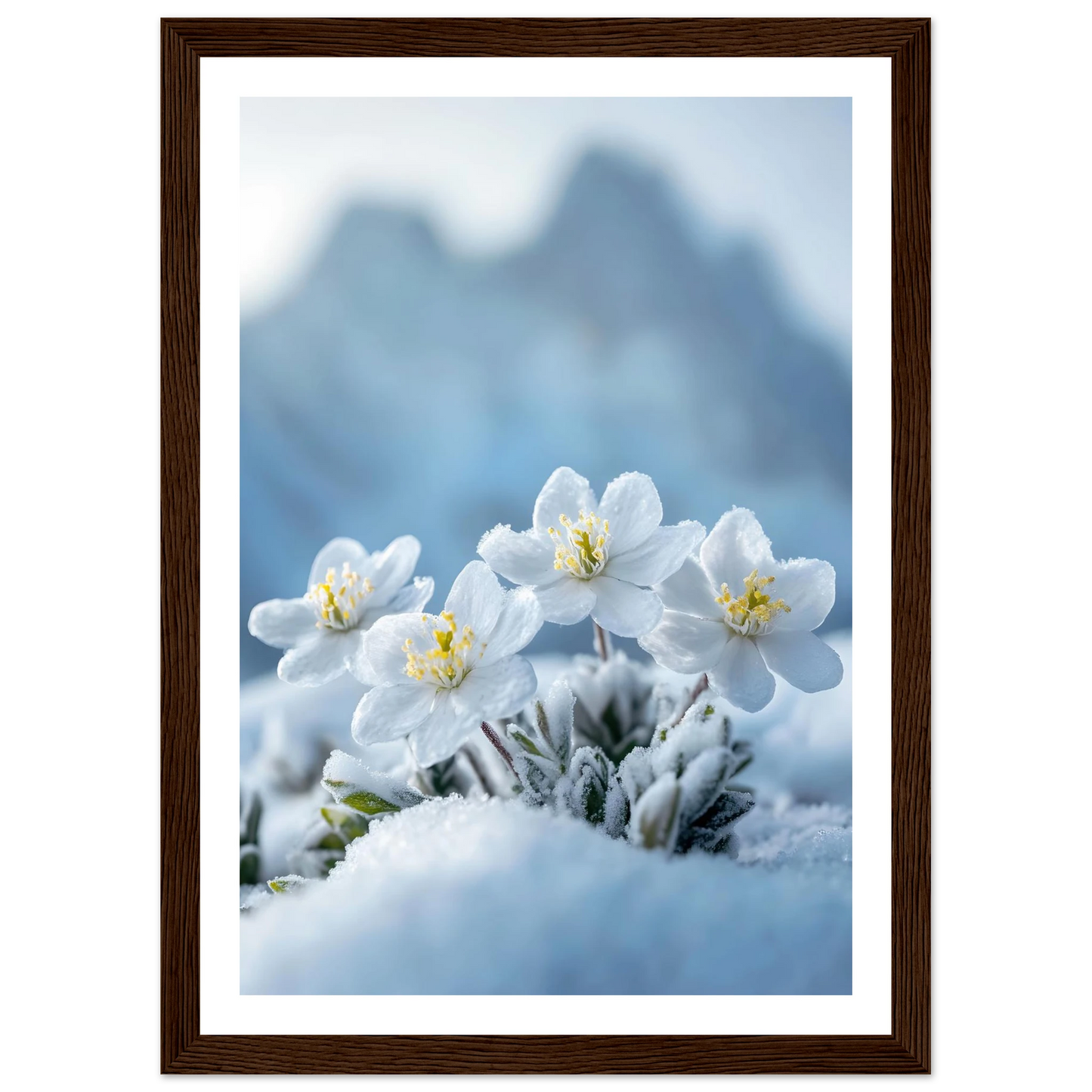 9cdf229b-45f2-49ed-abc8-30bb94a419c0