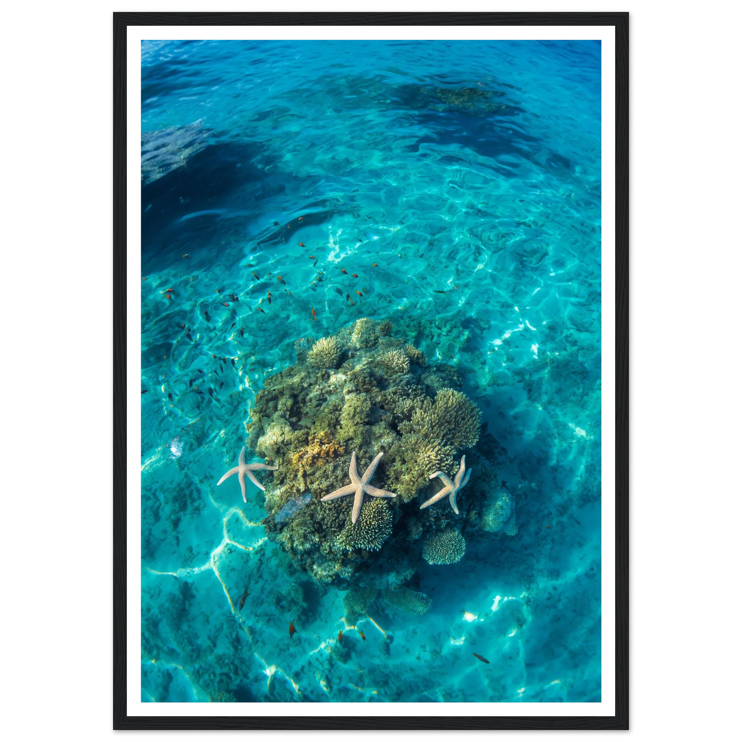 9f9f4241-3efb-433a-82b8-604bf9228932