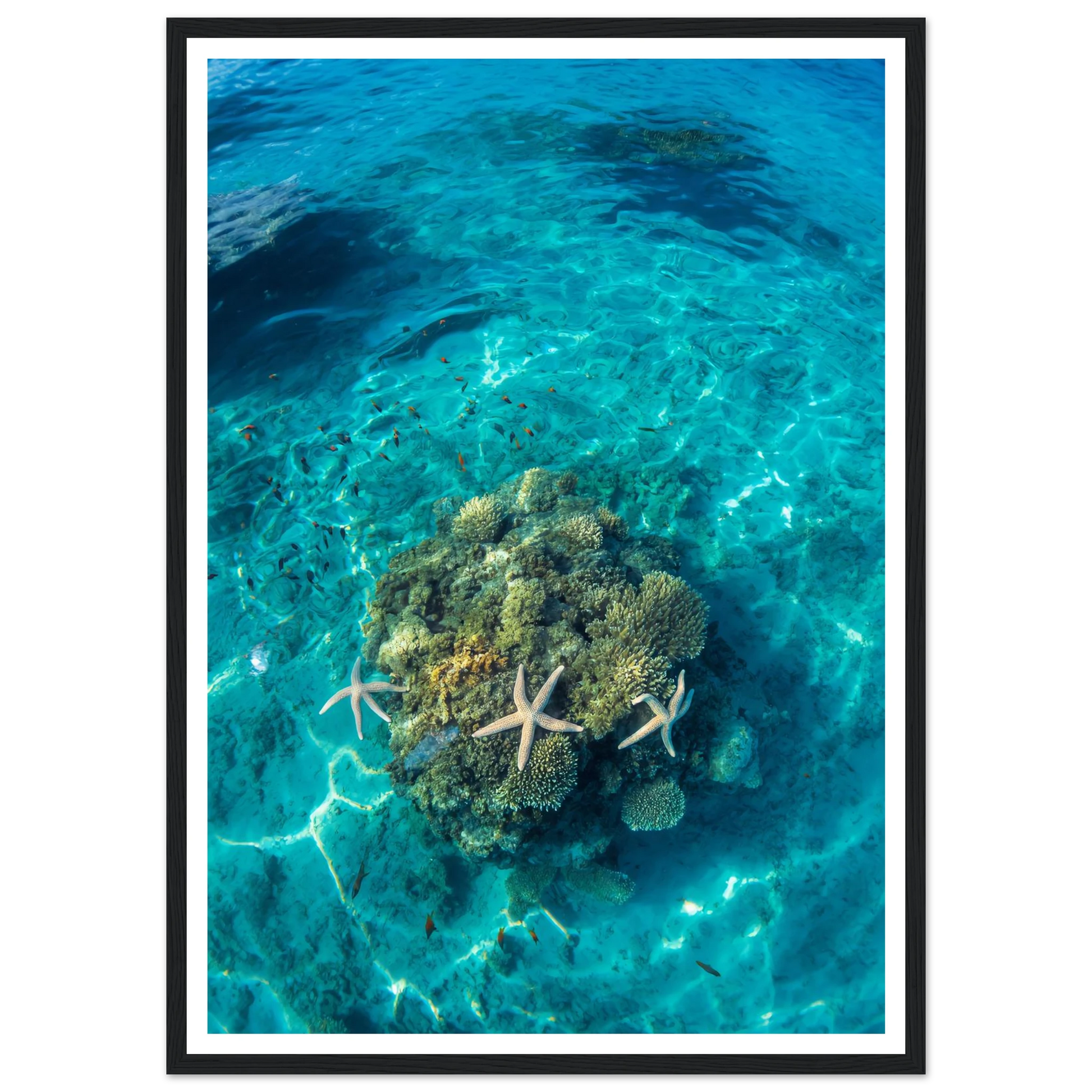 9f9f4241-3efb-433a-82b8-604bf9228932