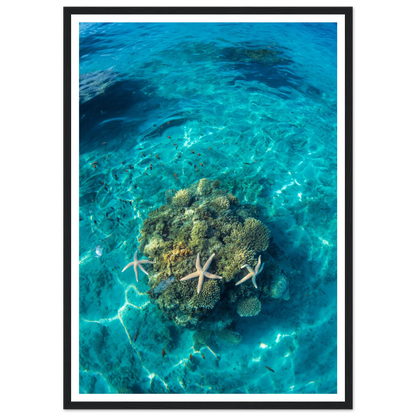 9f9f4241-3efb-433a-82b8-604bf9228932