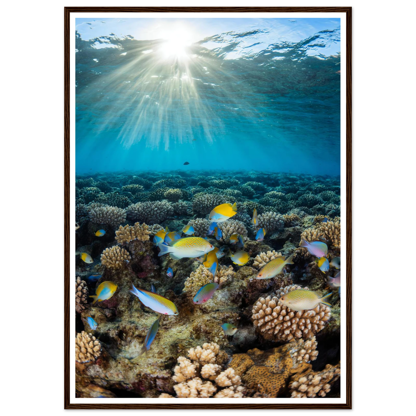 a5d8cecd-7b87-4fba-87e6-71df863e9c9b