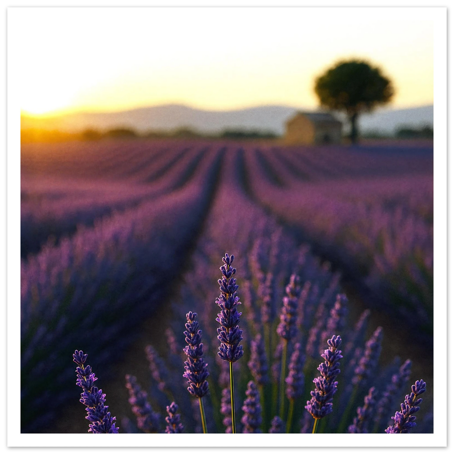 aa4dd8b9-3922-479a-8853-75c775d00a09