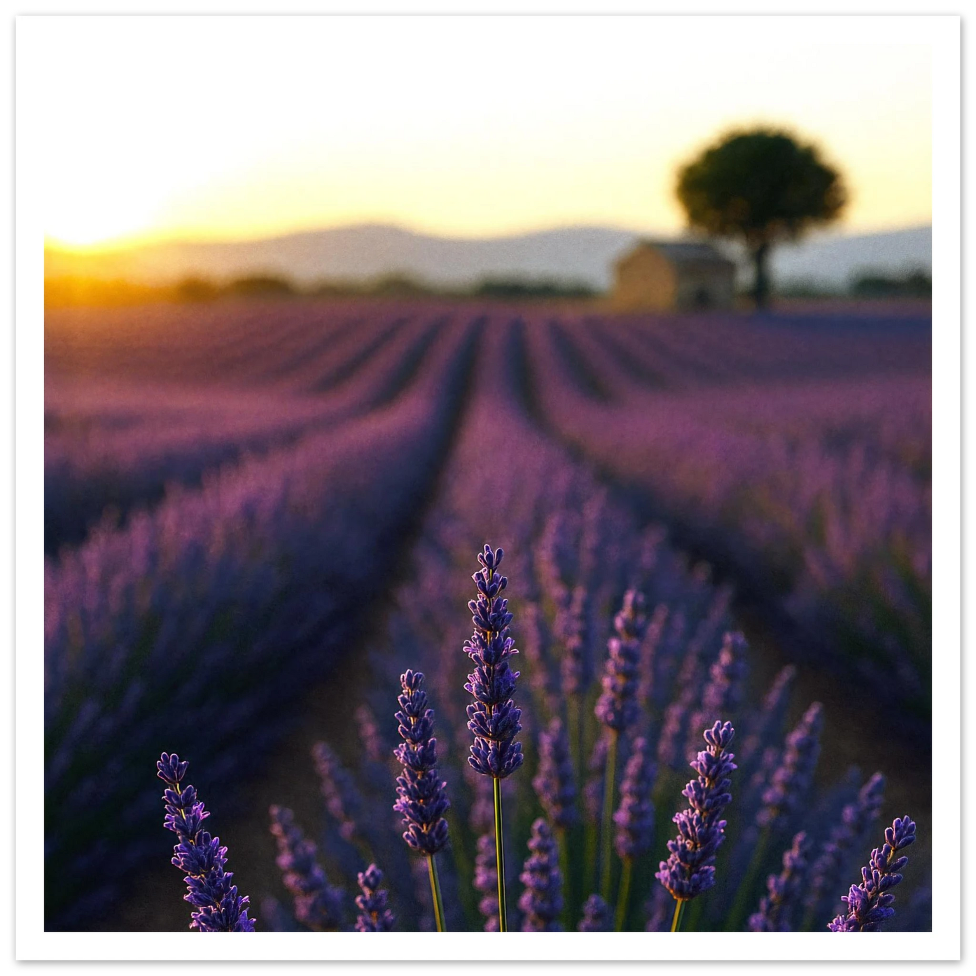 aa4dd8b9-3922-479a-8853-75c775d00a09