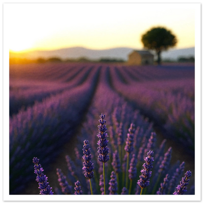 aa4dd8b9-3922-479a-8853-75c775d00a09