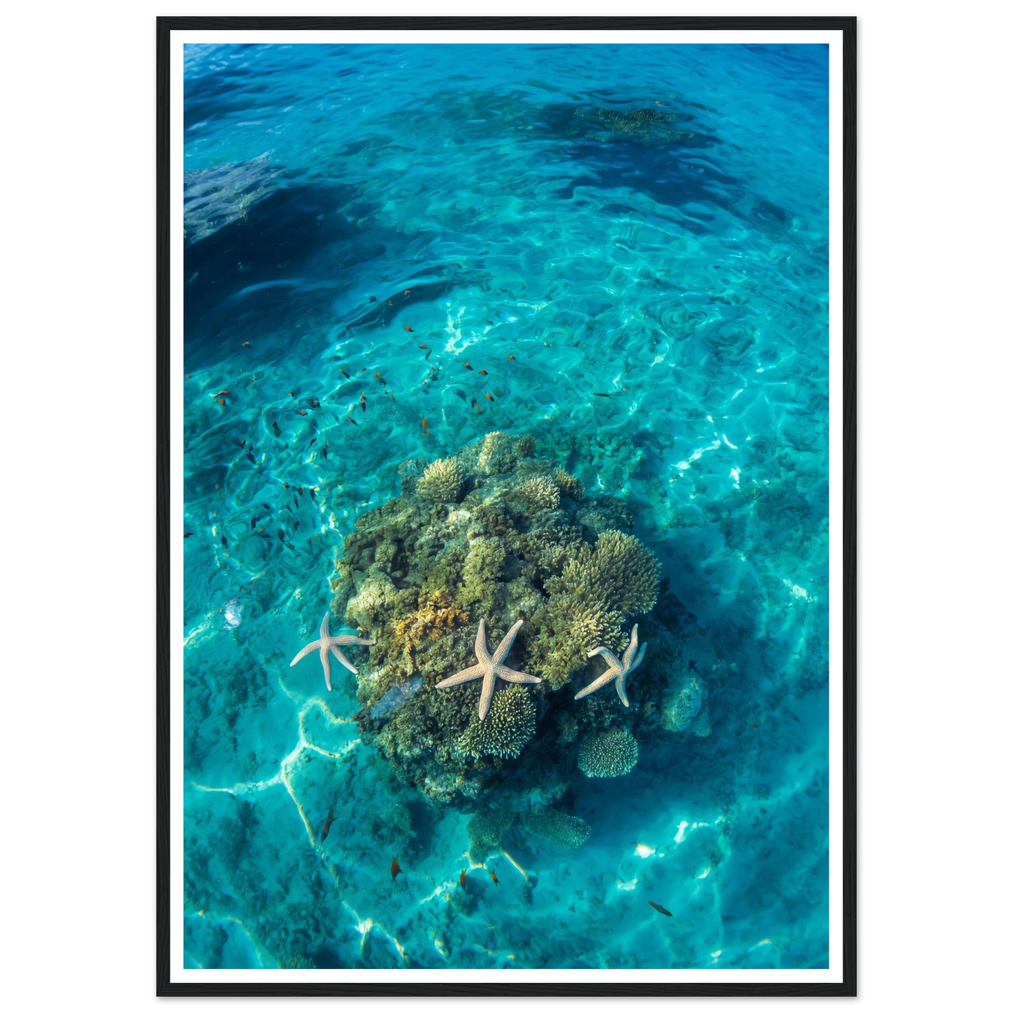 abbb7bdc-785b-416d-9495-3678cd746ef0