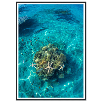 abbb7bdc-785b-416d-9495-3678cd746ef0