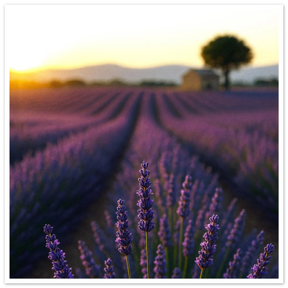 abc99838-9eb2-4059-b821-1a6eaaf3931d