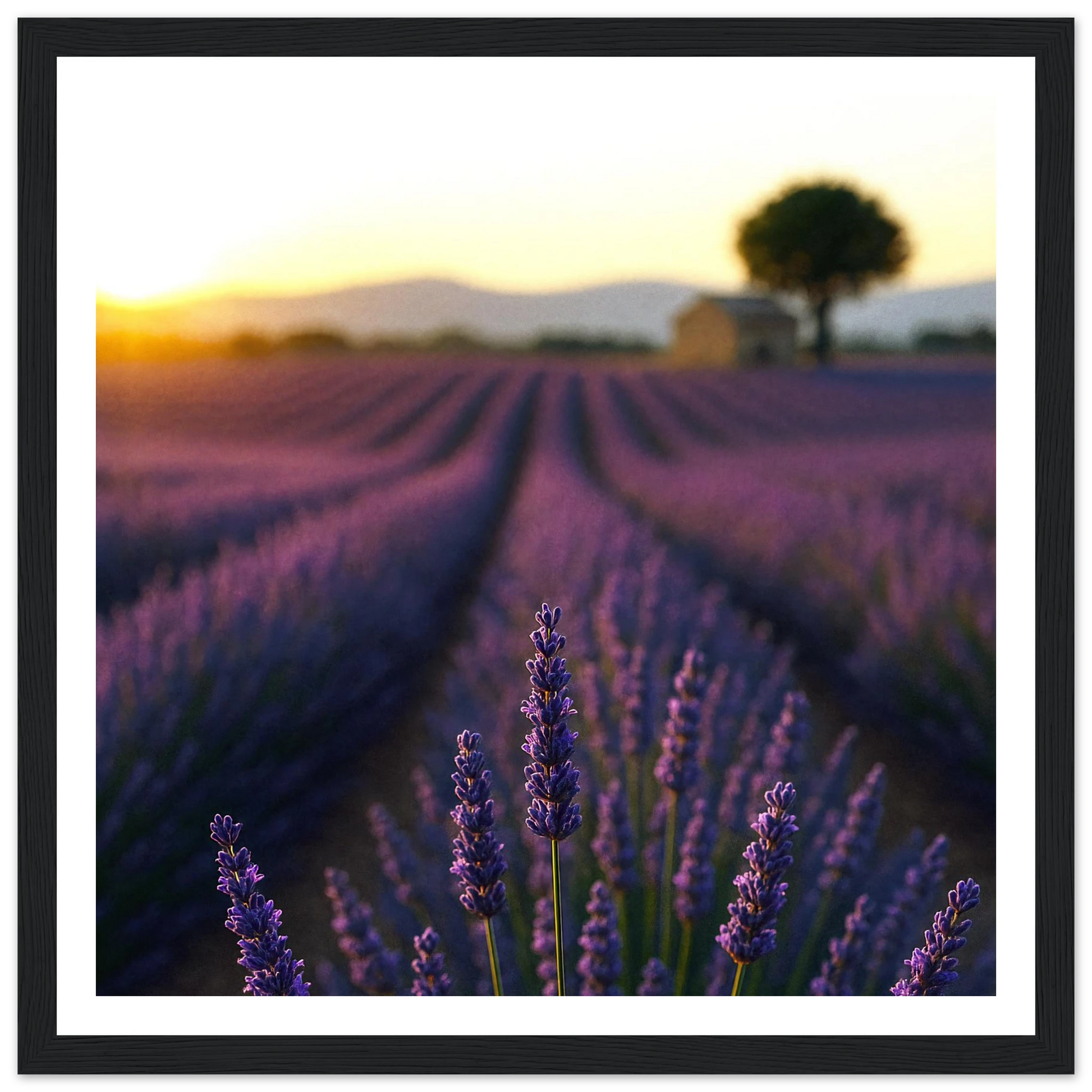 ac282d9c-fbca-4693-ab55-3a87c2ea6c63