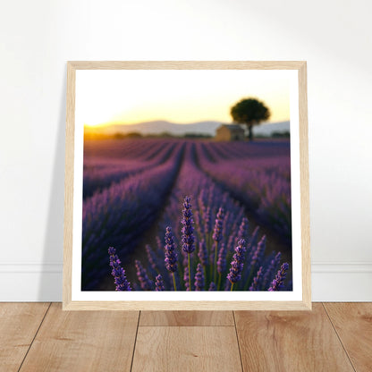 ac8cc114-6950-42d8-b4db-0dffadfbe6d6