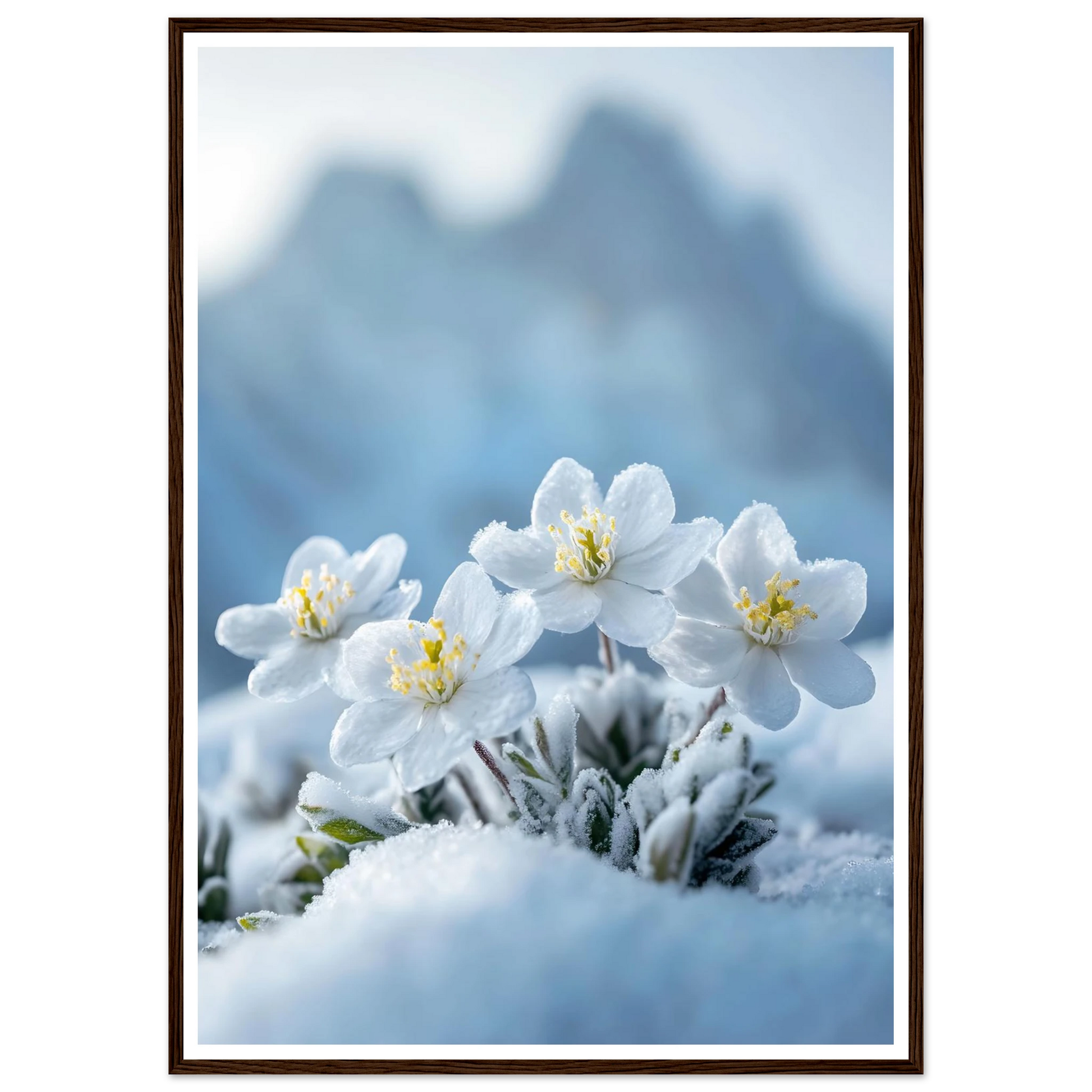 b111a9c9-fdf5-4524-9337-8ba2109df0c3