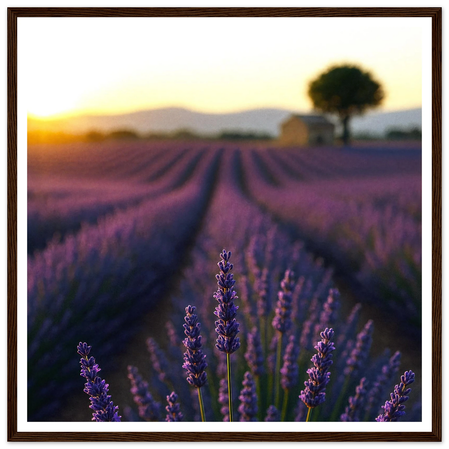 b5f5f233-57a1-4d0a-96bc-a4902a4dd735