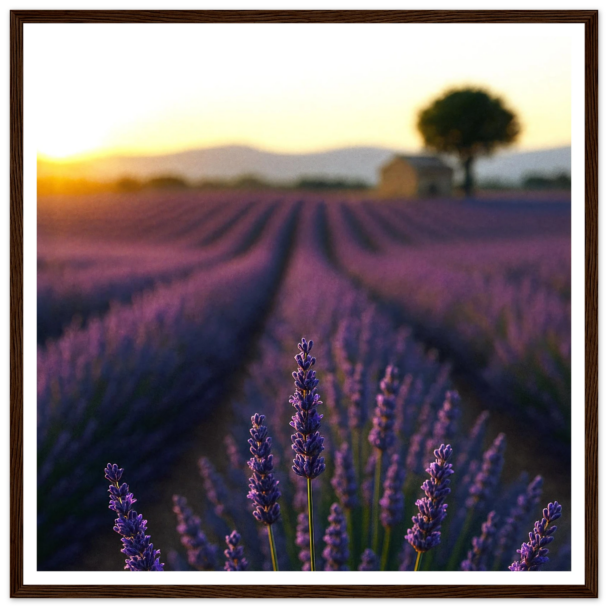 b5f5f233-57a1-4d0a-96bc-a4902a4dd735