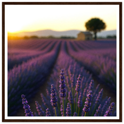 b5f5f233-57a1-4d0a-96bc-a4902a4dd735