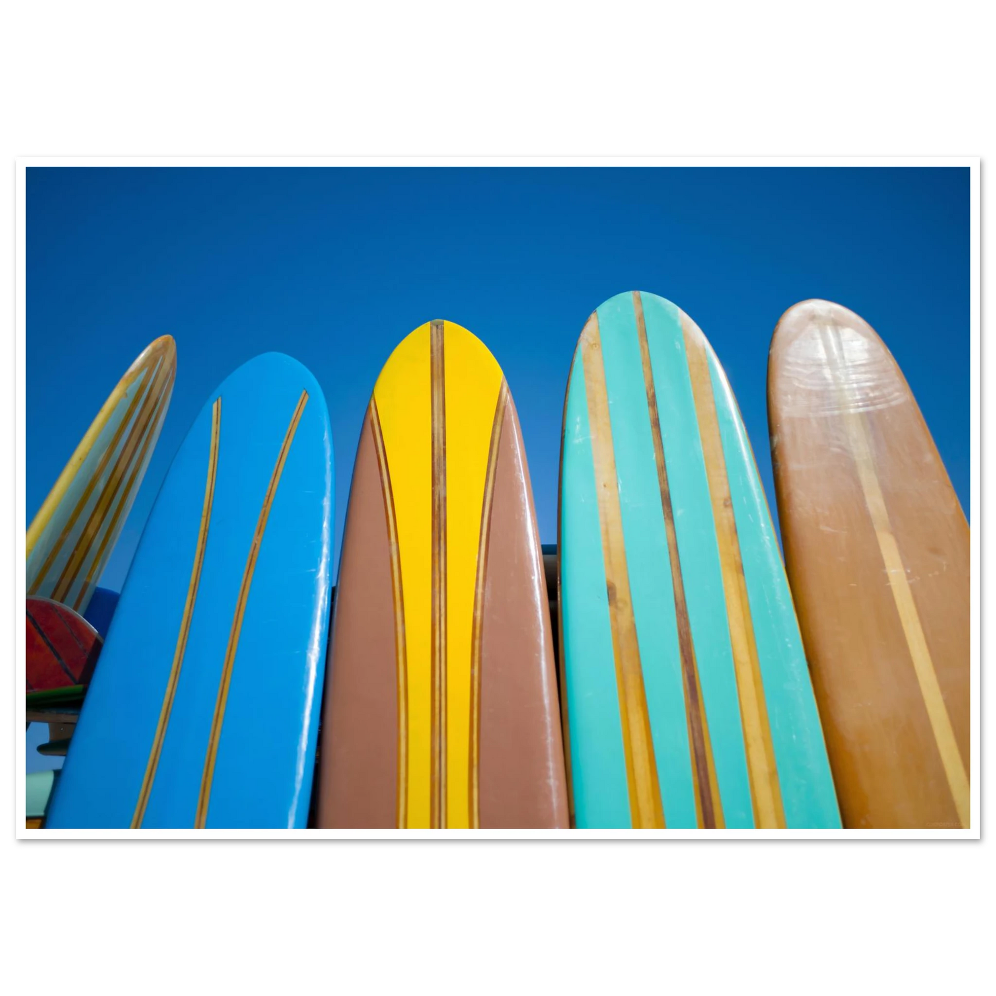 b6859fc8-0c81-46da-b8b4-391f98803450