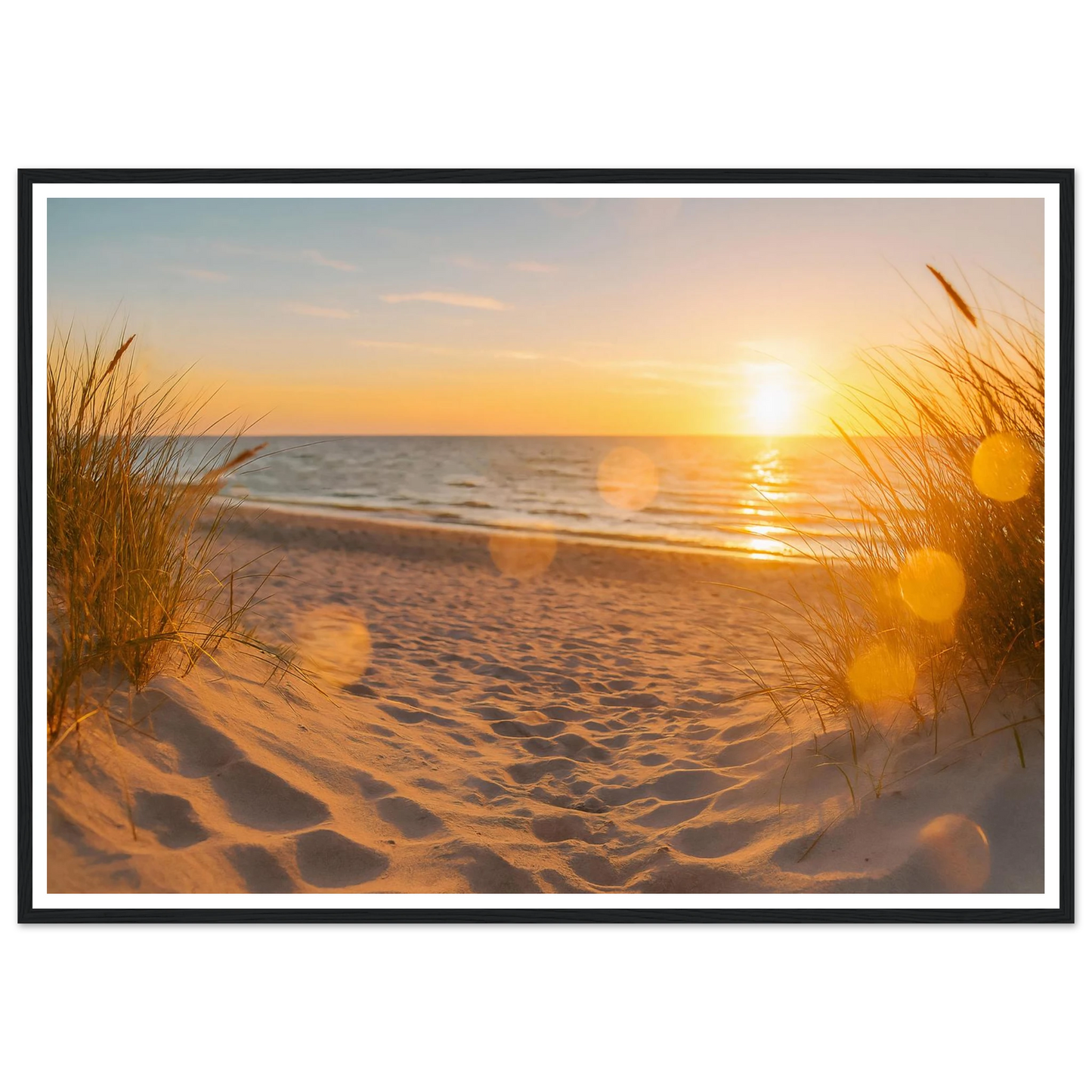 b733ff97-27f8-43be-821c-6f951fc39d17