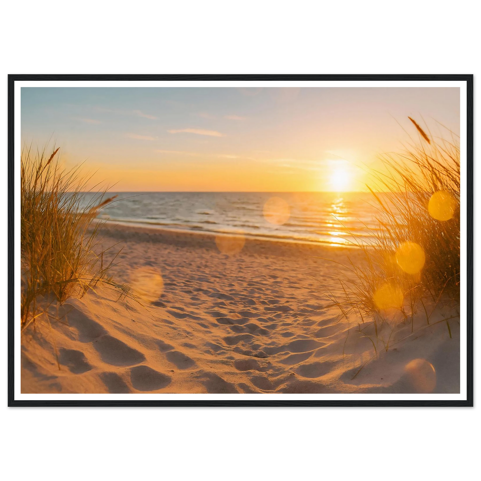 b733ff97-27f8-43be-821c-6f951fc39d17