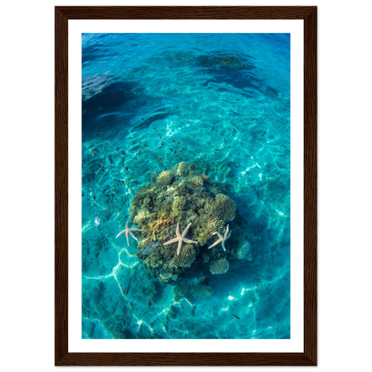 bb770664-163d-4bf1-b6d9-d6035cbe1a46