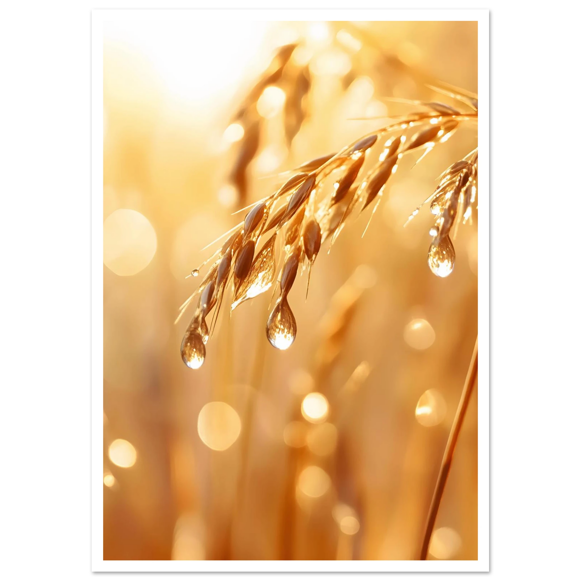 bb939e45-6122-4d69-a91e-5179ca1862aa