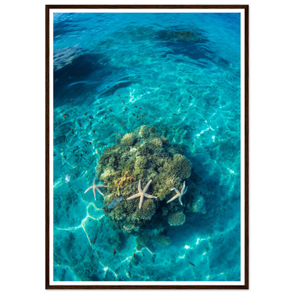 be830843-9057-4ebd-b09f-6b99302e0f02