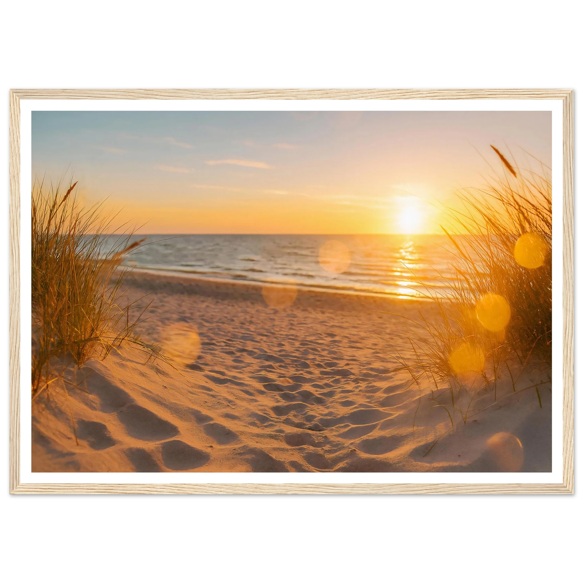 c01e8844-6cc6-4587-866d-d38a2dad0cdb