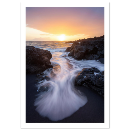 c1d7d779-c530-40ff-9f17-dd0854ebef8f