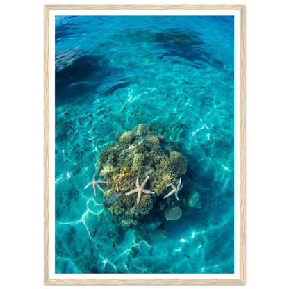 c9001c73-c01e-4300-9e34-567e7557962d