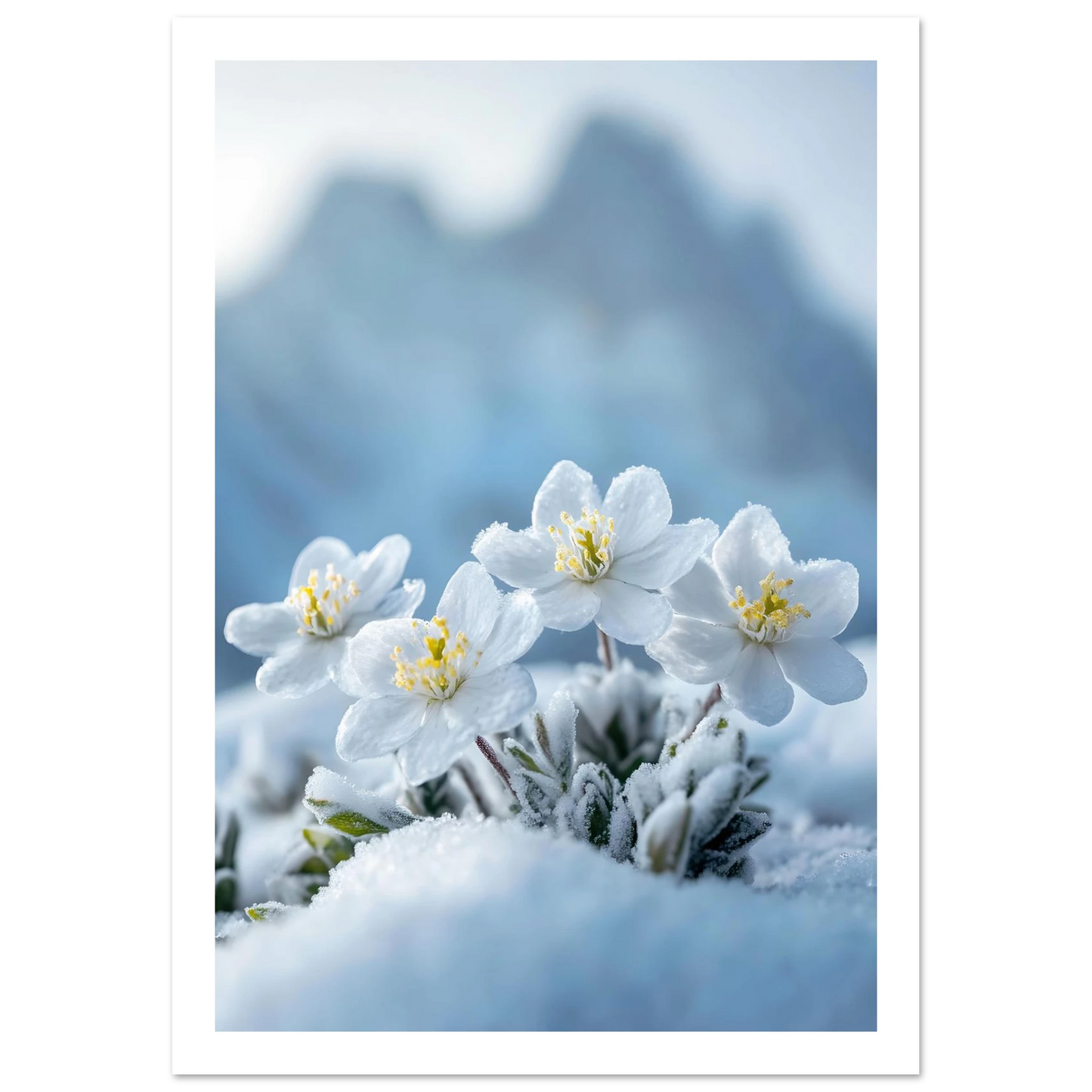 cbb560ab-d8ce-46e1-8469-f99ca870d9bd