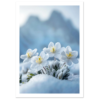 cbb560ab-d8ce-46e1-8469-f99ca870d9bd