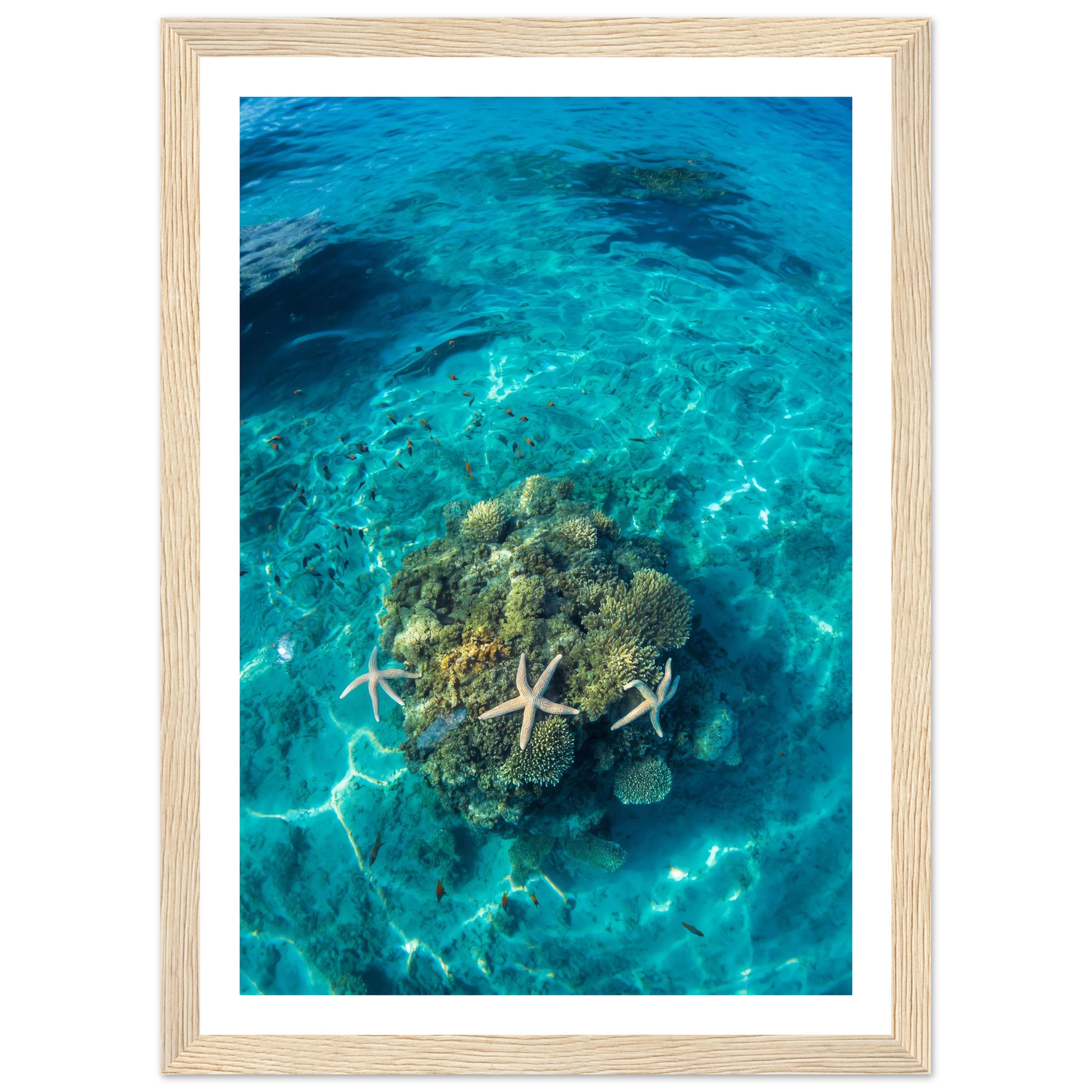 cc1598f0-3f28-4f67-8651-27d49cdddfd1