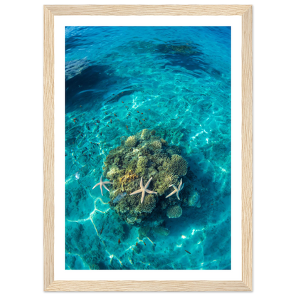 cc1598f0-3f28-4f67-8651-27d49cdddfd1