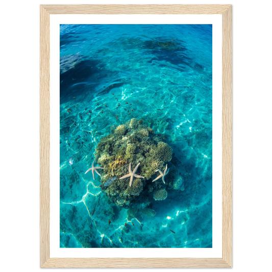 cc1598f0-3f28-4f67-8651-27d49cdddfd1