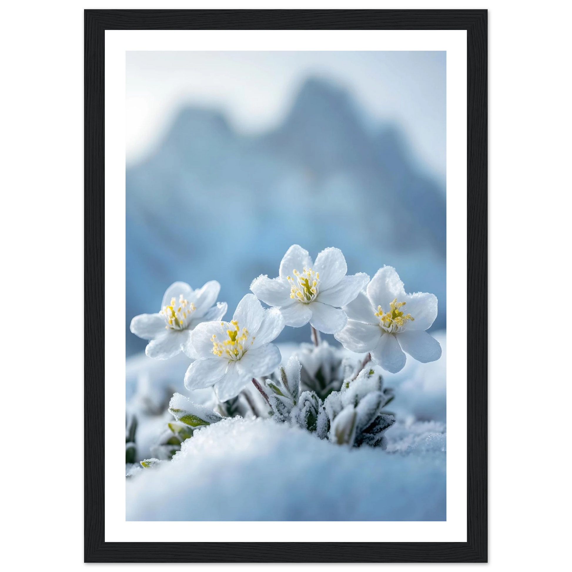 ce3d8336-fa1c-4046-a8dd-3cbbba59e9f2